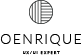Luis logo